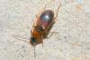 358304 – Photo : Michel Ehrhardt – France (68)